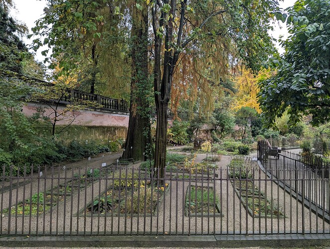 PXL_20251031_080758654